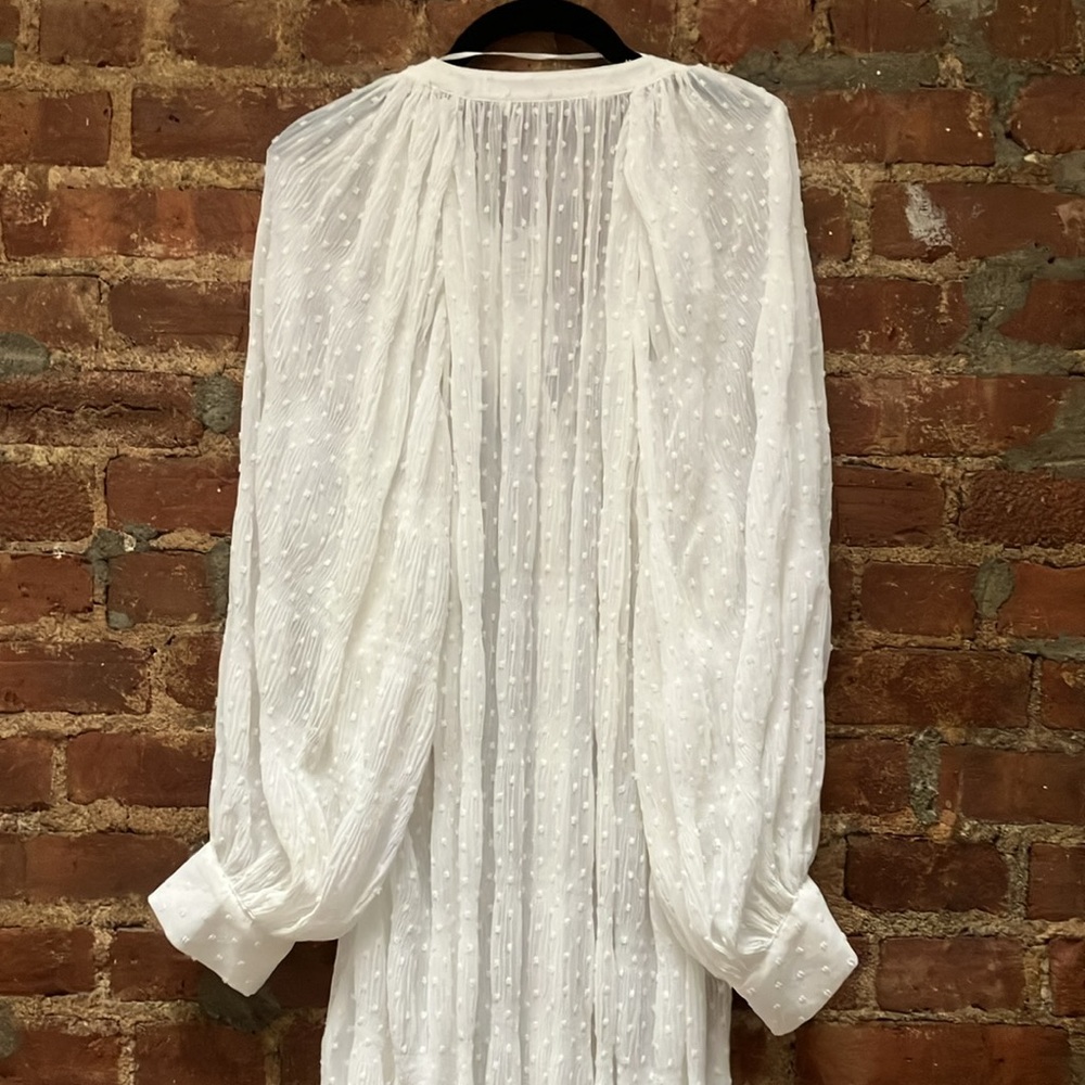 Zara White Sheer Swiss Dot Maxi Dress Sz XS - Picture 5 of 6